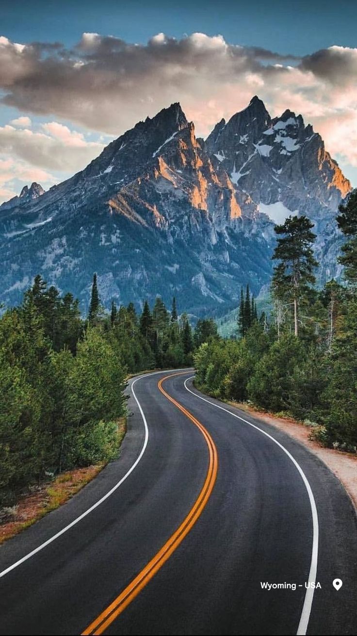 Winding Road Through Pine Forests Toward Rugged Wyoming Mountains