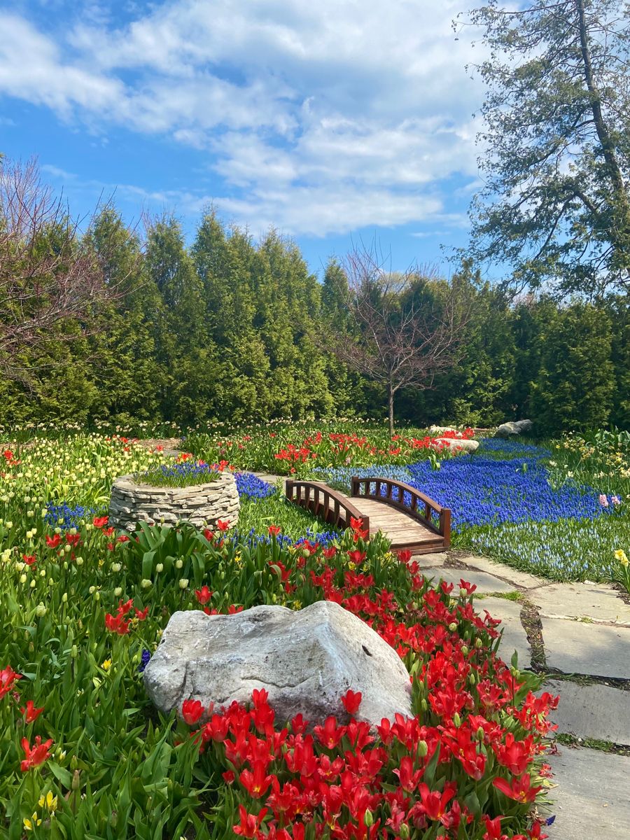 Colorful Flower Garden with Stone Well and Wooden Footbridge