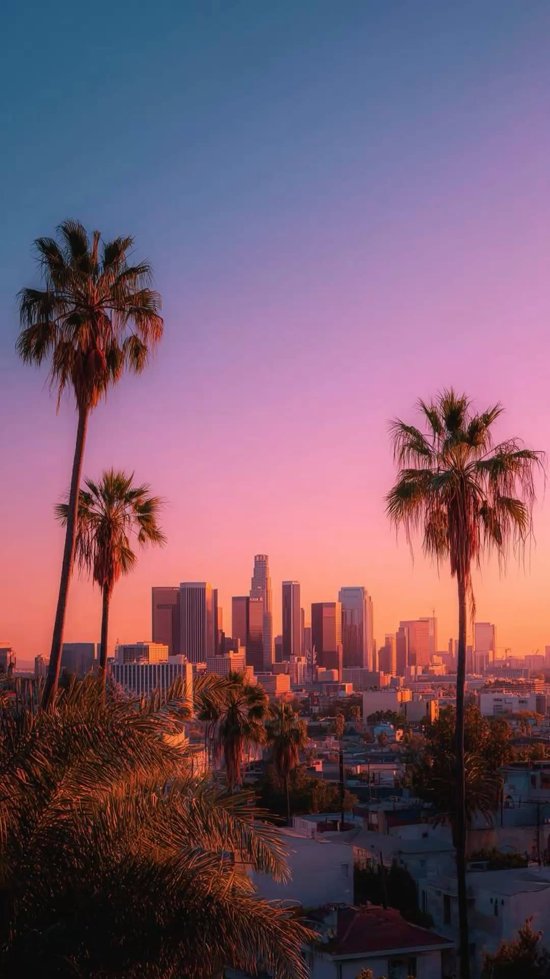 Palm Trees Framing a City Skyline at Sunset with Vibrant Colors