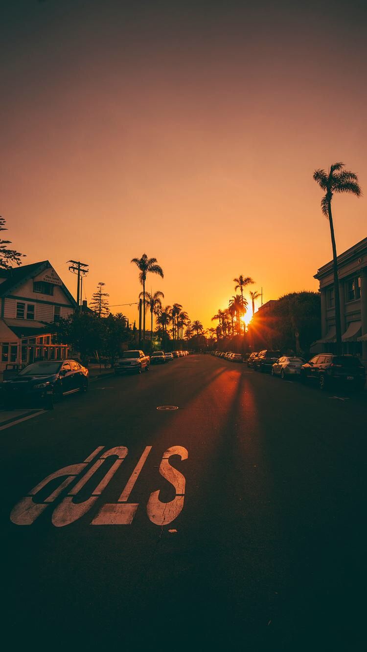 Palm-lined street scene at sunset with dramatic golden lighting