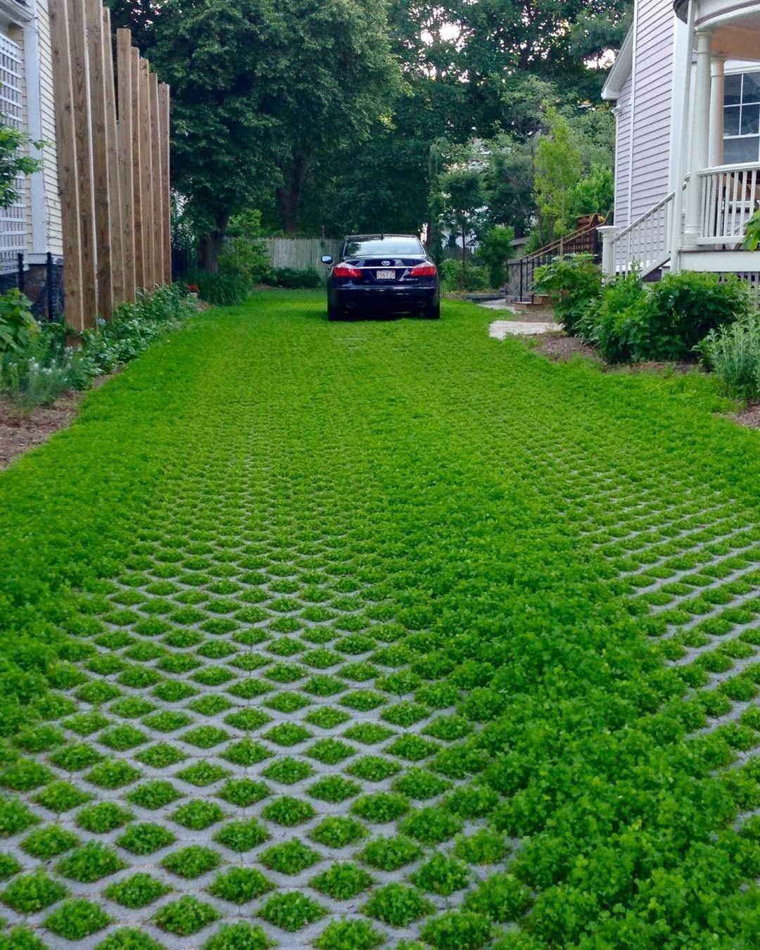 Eco-Friendly Grass Grid Driveway Between Two Residential Homes